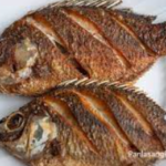 Fried Tilapia Fish